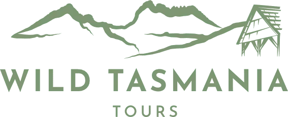 logo Logo