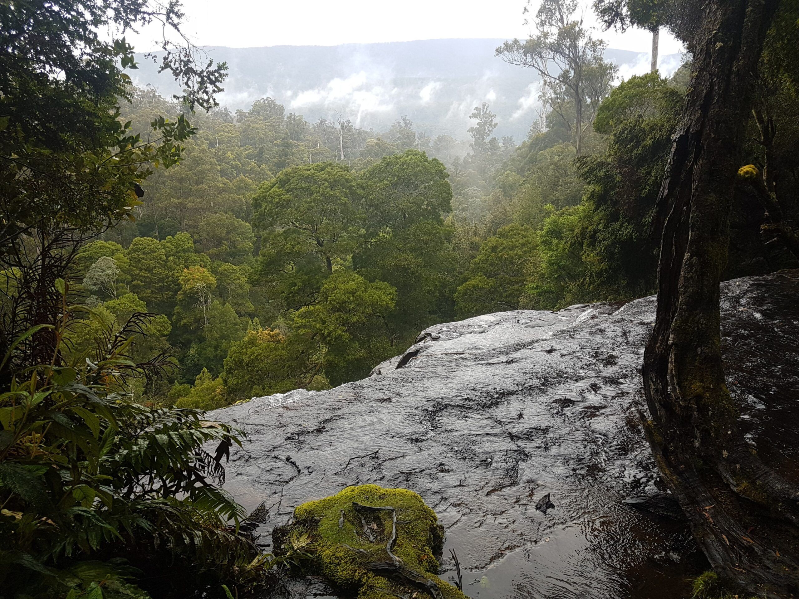 2 Day Cradle Mountain Tour