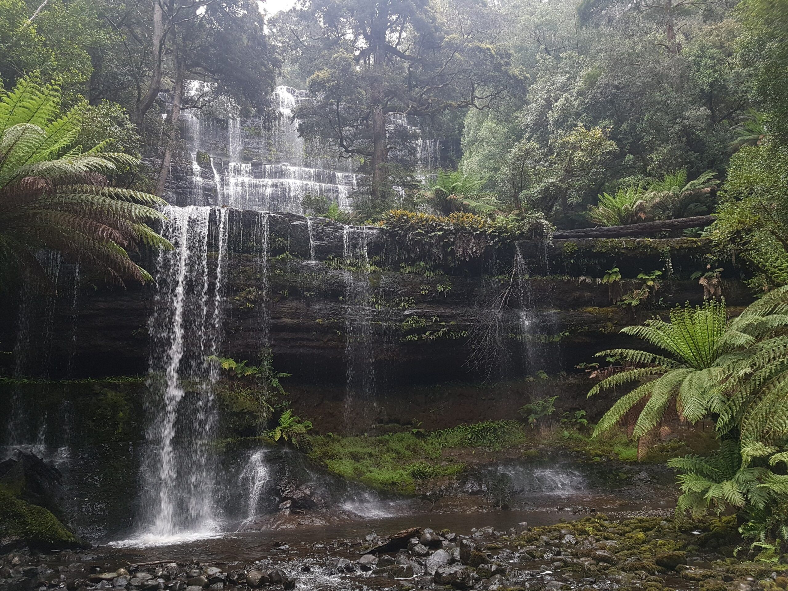 Tasmania Group Tours