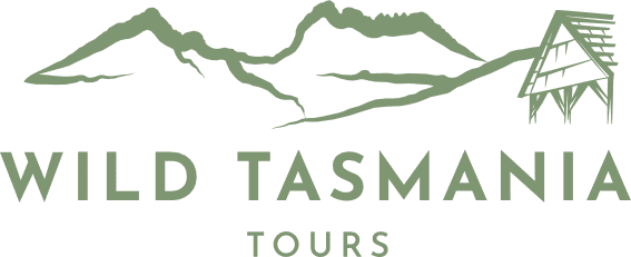 tour of tasmania 2022