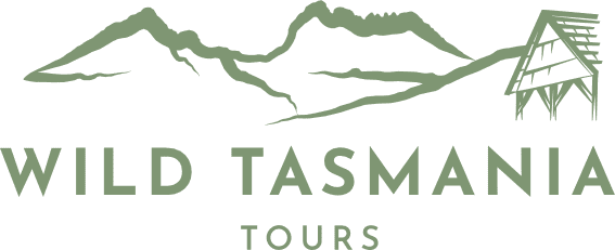 Wild Tasmania Tours Logo