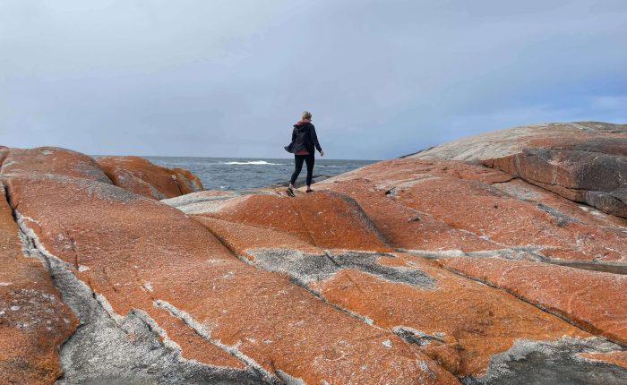 4 Day Wild Tasmania Tour