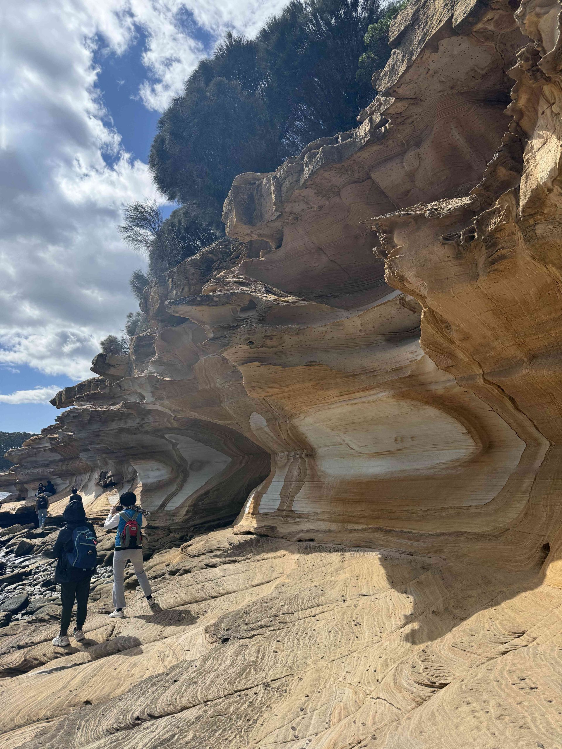 Painted Cliffs